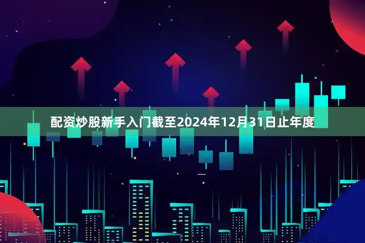 配资炒股新手入门截至2024年12月31日止年度